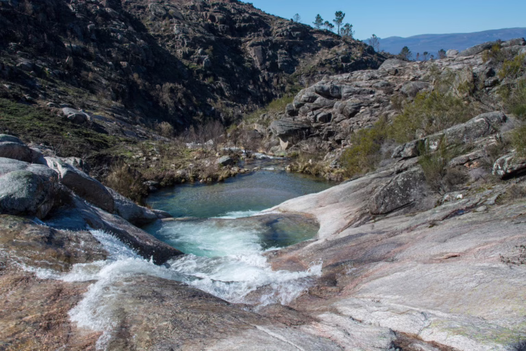FERVENZA DAS OLAS MARZO 2018 8 768x512
