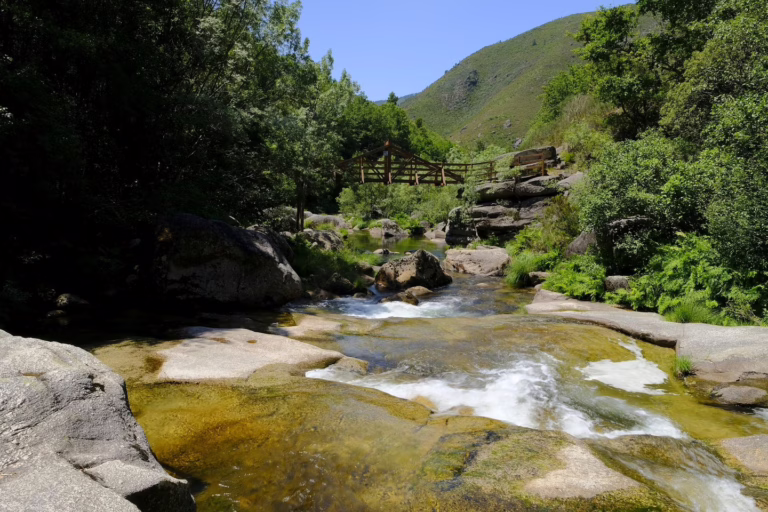 pozas mallon 768x512