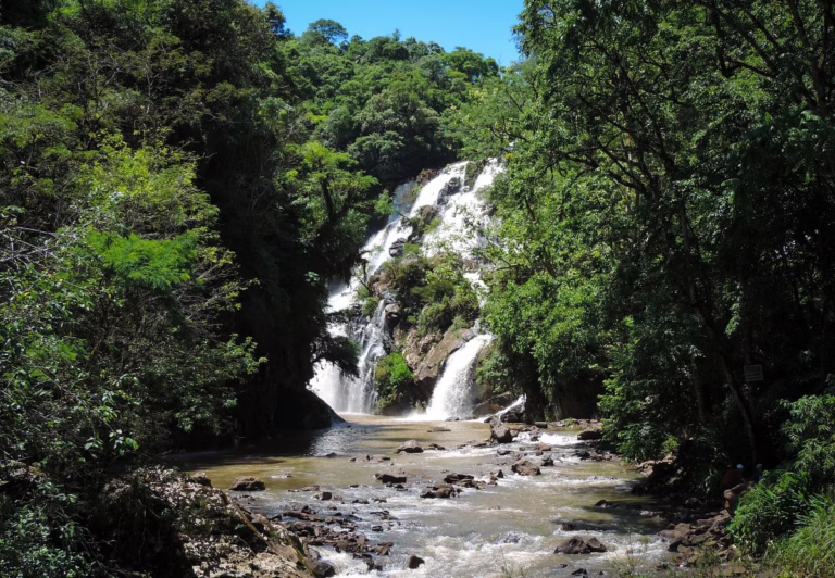 vista da ponte de madeira 768x532